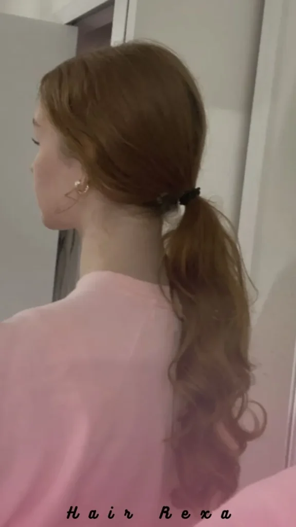 The Low Ponytail