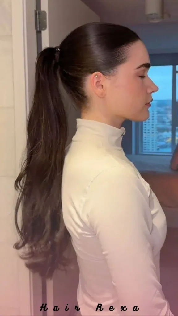 Sleek Low Ponytail