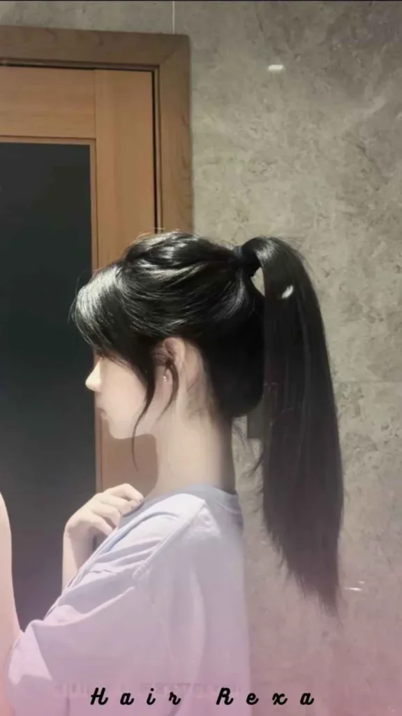 Tucked-In Ponytail (Topsy Tail)