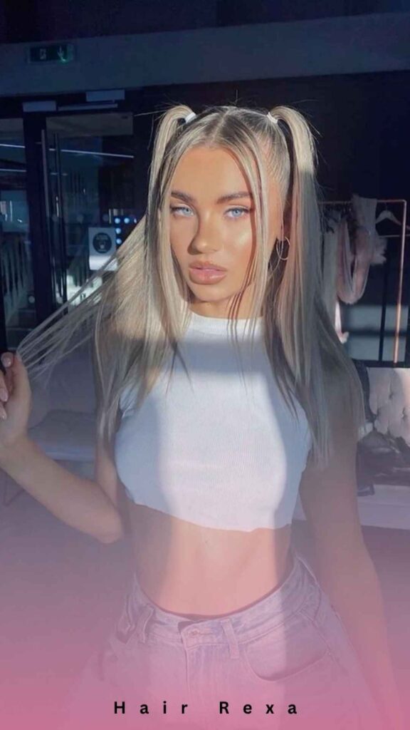 Double High Ponytail (Pigtail-Style)
