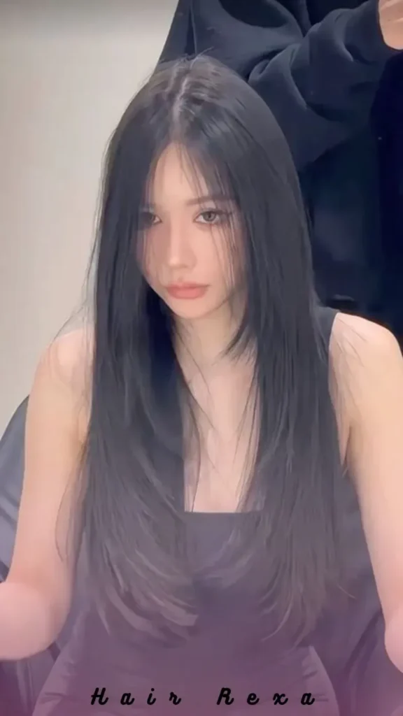 Straight Layered Hair (Long)